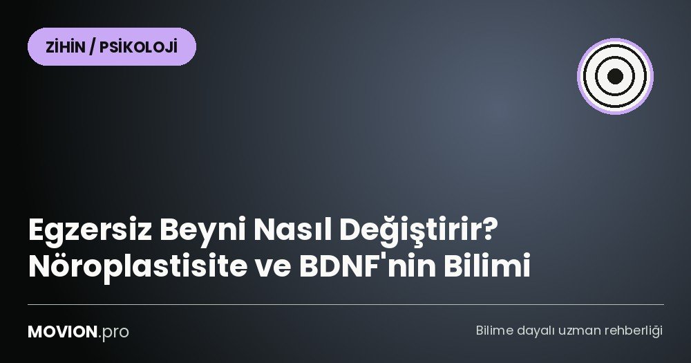egzersiz noroplastisite beyin bdnf cover