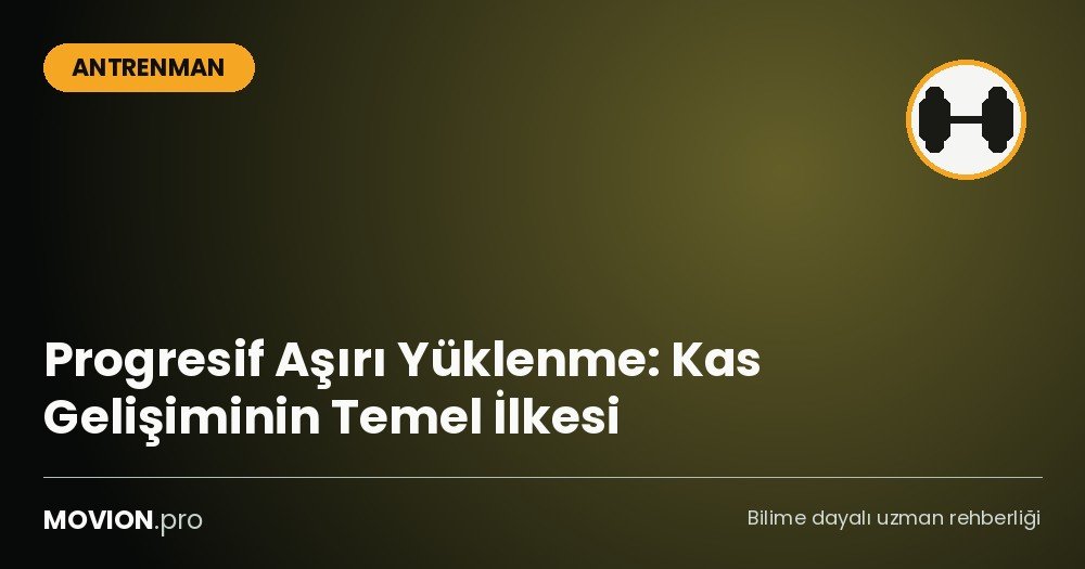 progresif asiri yuklenme ilkesi cover